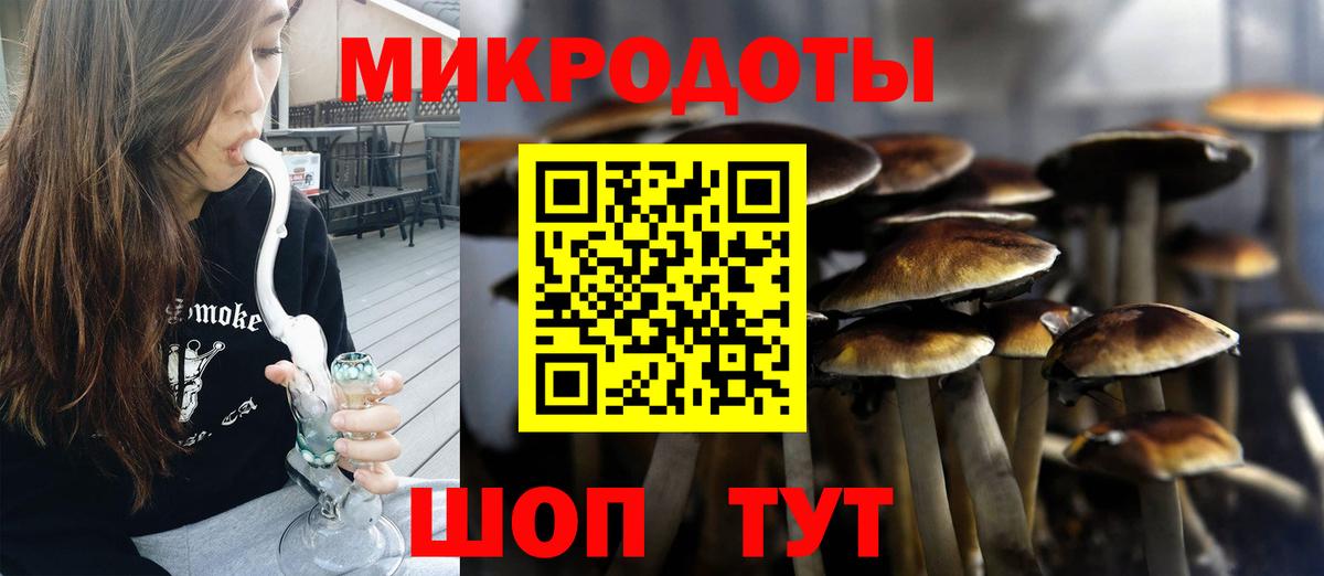 Псилоцибиновые грибы GOLDEN TEACHER  Вход с VPN  Псилоцибиновые грибы ЛСД  Кольчугино 