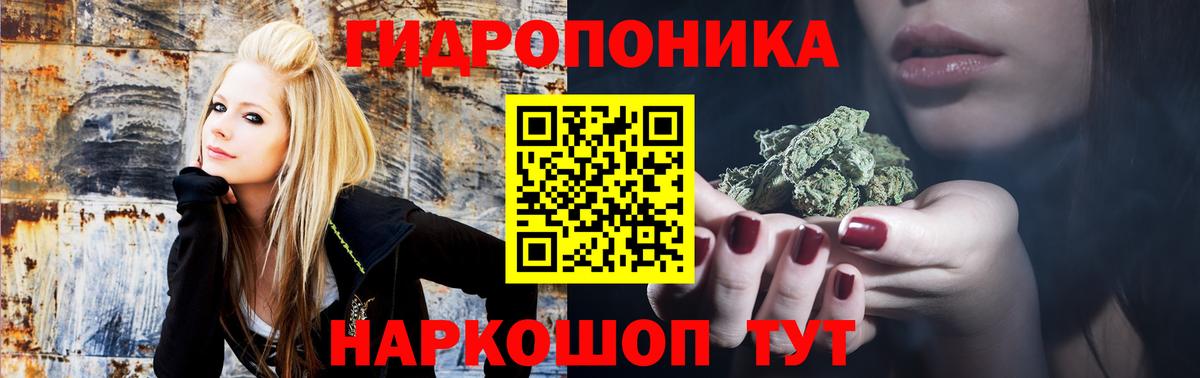 Шишки марихуана OG Kush Кольчугино